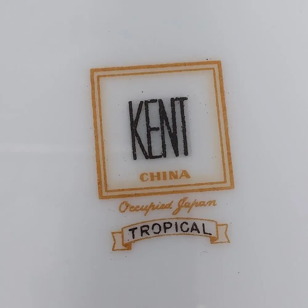 Kent Tropical Pattern Set of 2 Dinner Plates 10 5/8